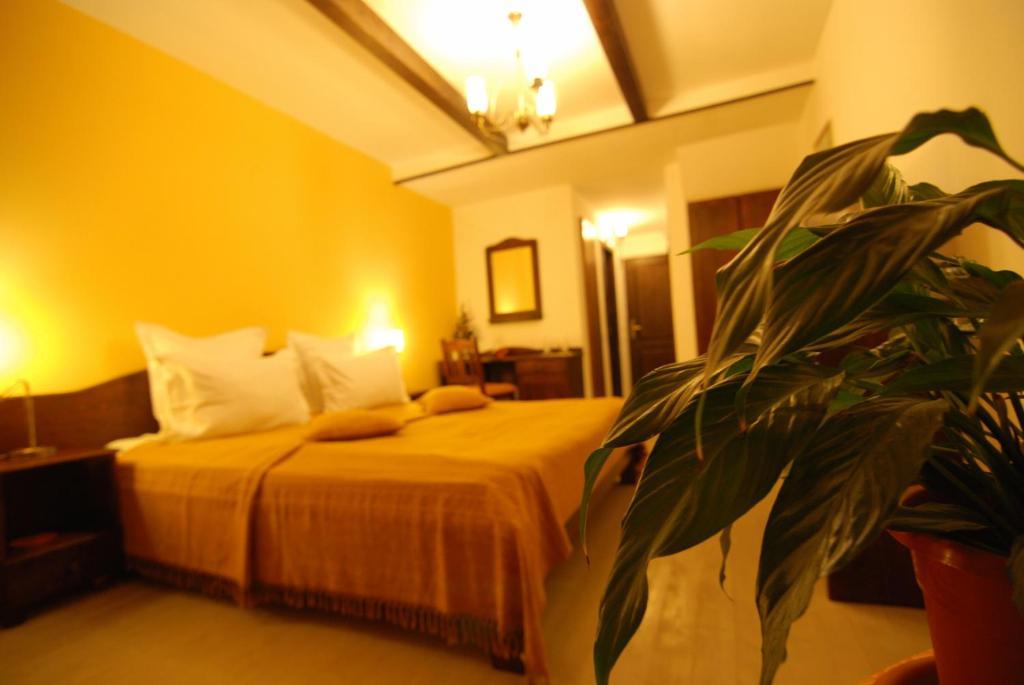 Ezio House Hotel Тимишос Екстериор снимка