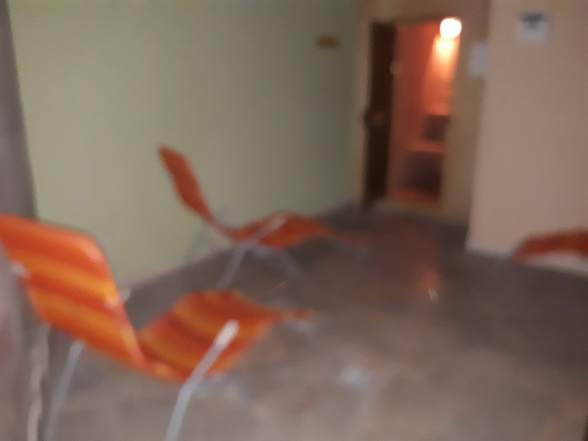 Ezio House Hotel Тимишос Екстериор снимка